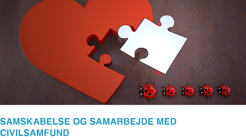 kurser og workshop samskabelse og samarbejde med civilsamfund