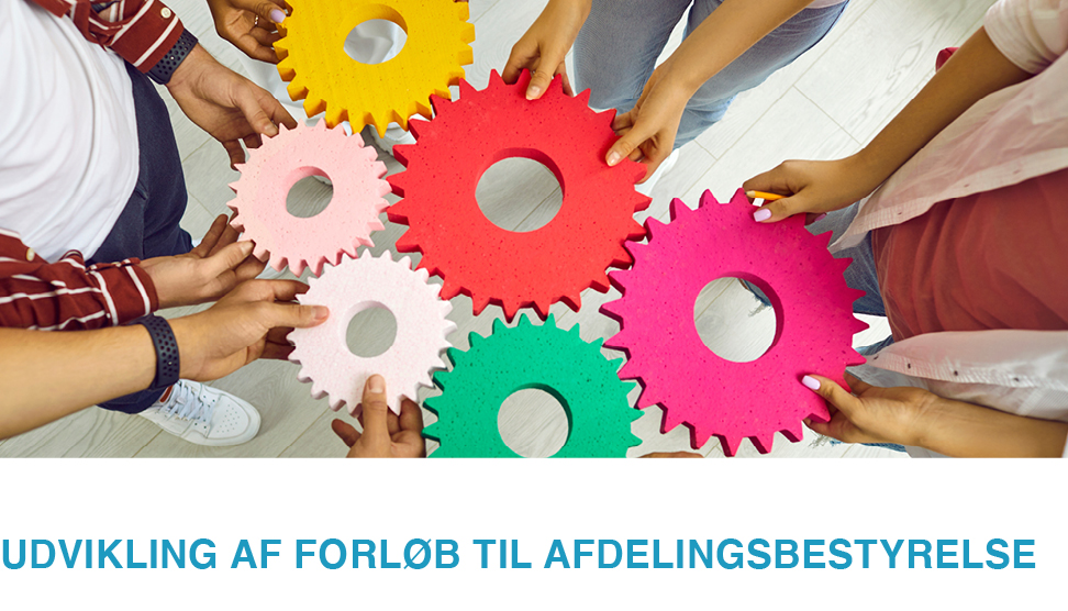 udvikling afdelingsbestyrelse