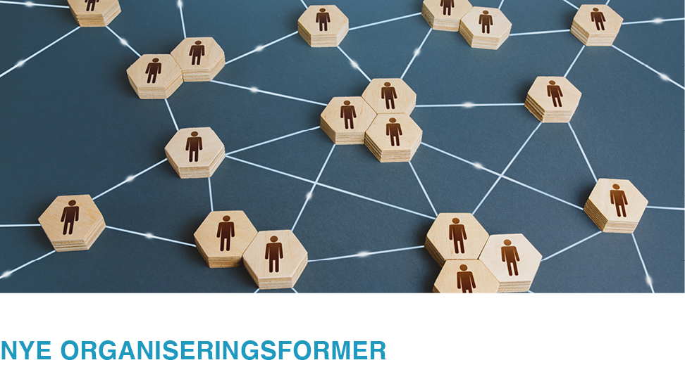 Nye organiseringsformer